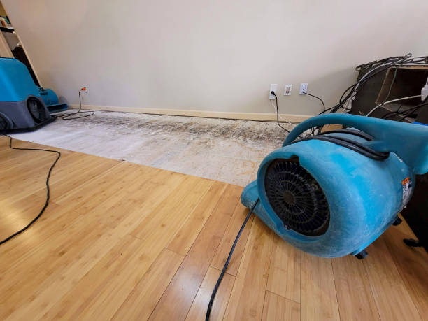 Professional Flood Damage Cleanup technician working in Bluffton, TX